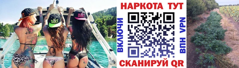 Где купить Дивногорск ГАШИШ  Конопля  COCAIN  АМФЕТАМИН  Меф мяу мяу 