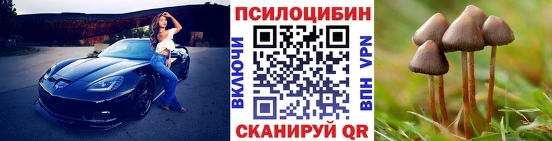 Галлюциногенные грибы Cubensis  Дивногорск 