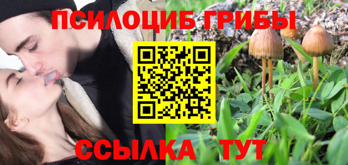 Галлюциногенные грибы ЛСД Дивногорск