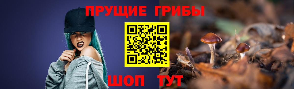 Дивногорск  Псилоцибиновые грибы Psilocybine cubensis  Вход с VPN  где можно купить наркотик  Псилоцибиновые грибы Magic Shrooms 