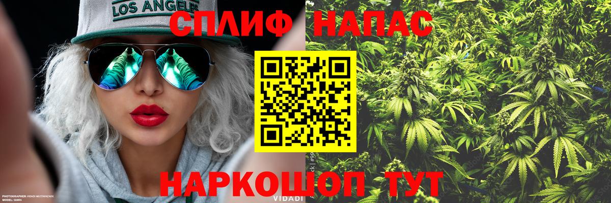 Канабис Amnesia Дивногорск
